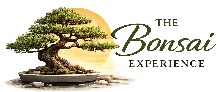 thebonsaiexperience.co
